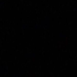 Meet your Posher, Shania